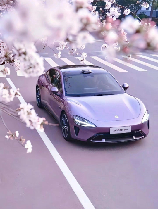 “SHE ECONOMY” DRIVES AUTOMOTIVE TRANSFORMATION: THE GLOBAL BLUE OCEAN REVEALED BY CHINESE WOMEN’S CAR-BUYING PREFERENCES